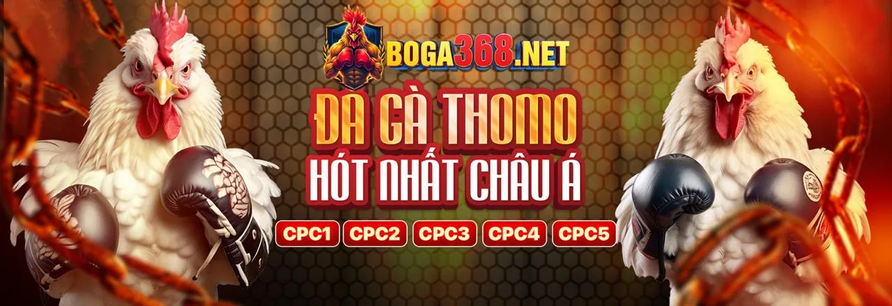 88m cam kết chơi cờ bạc có trách nhiệm
