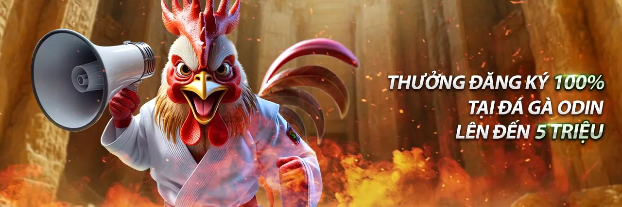 Sân đá gà trực tuyến 88m sôi động